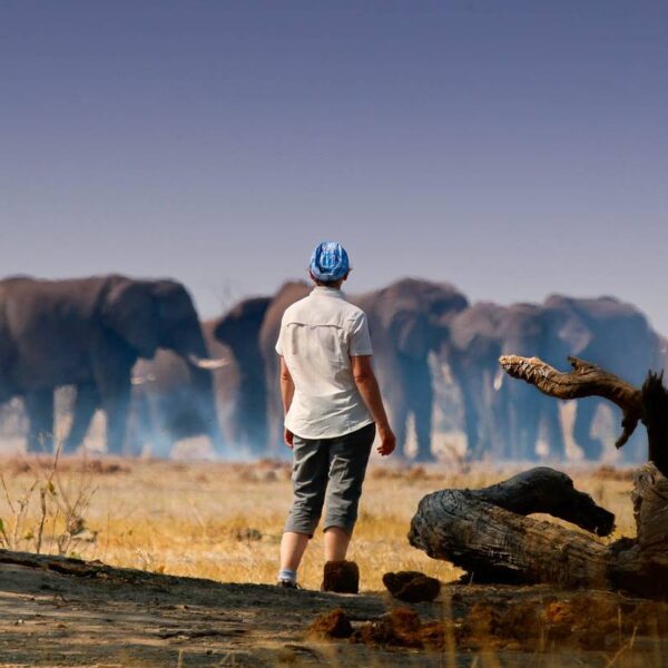 110835_2abb4ef2 110835 2abb4ef2