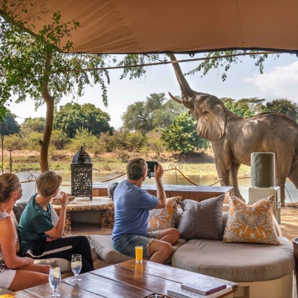 Zambia-Safaris Zambia Safaris