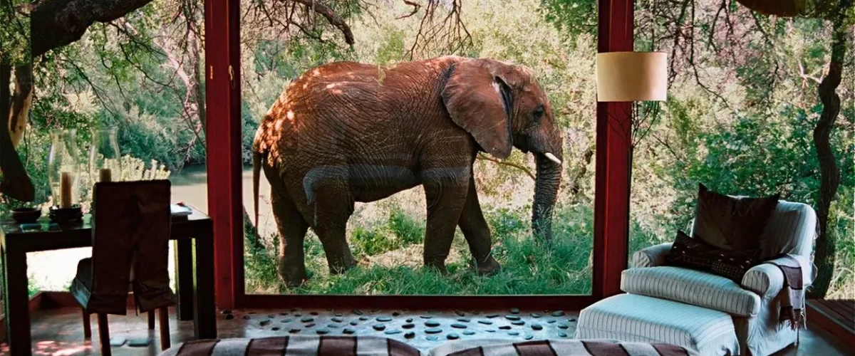 Sanctuary makanyane safari lodge north west province 1200x500