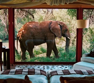 Sanctuary makanyane safari lodge north west province 360x320