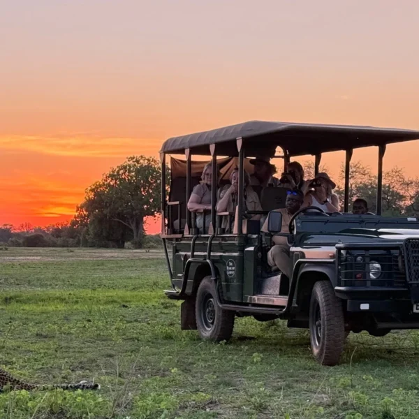 zambia-2025-leopard-sunset Zambia 2025 leopard sunset