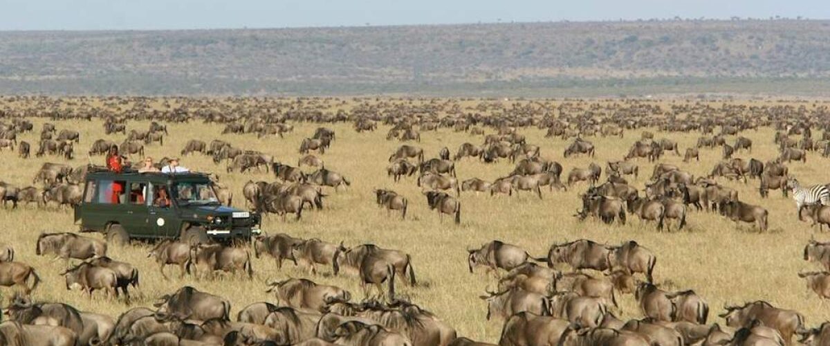 Northern Circuit vs Southern Circuit in Tanzania