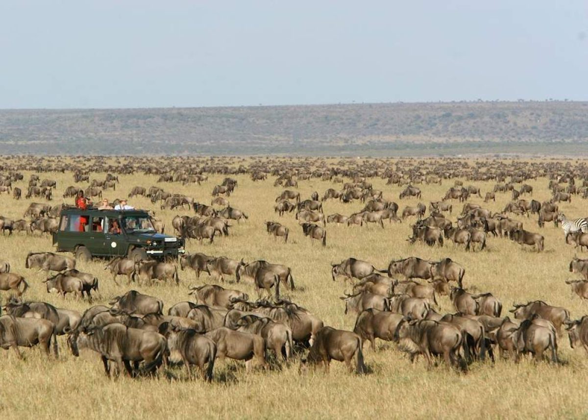Northern Circuit vs Southern Circuit in Tanzania