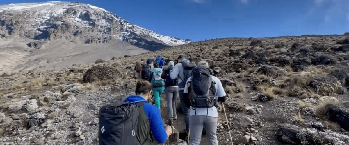 Tanzania Safari and Kilimanjaro