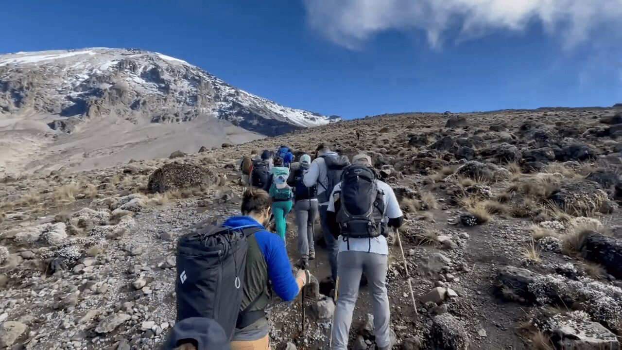Tanzania Safari and Kilimanjaro