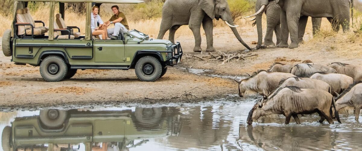 Inside the broader safari system leading to the Serengeti National Park,