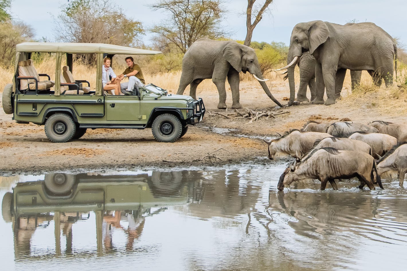 Inside the broader safari system leading to the Serengeti National Park,