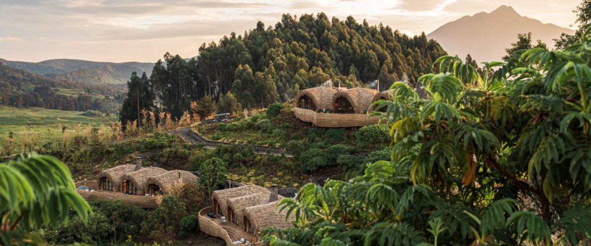 Bisate Lodge Review