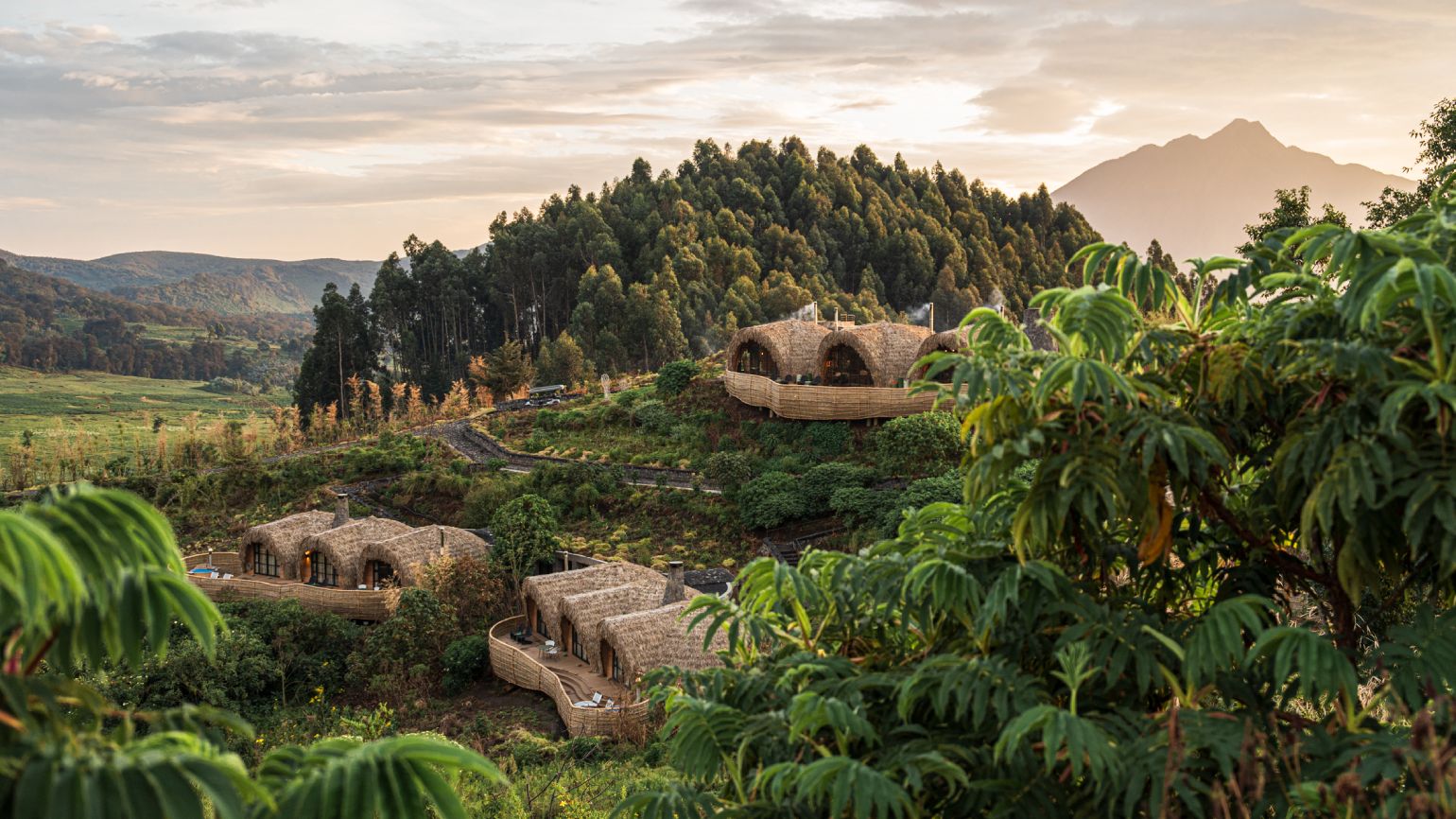 Bisate Lodge Review