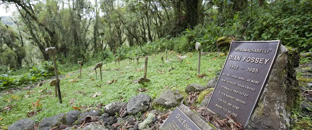 Dian Fossey’s Legacy in Rwanda