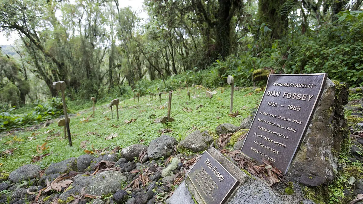 Dian Fossey’s Legacy in Rwanda
