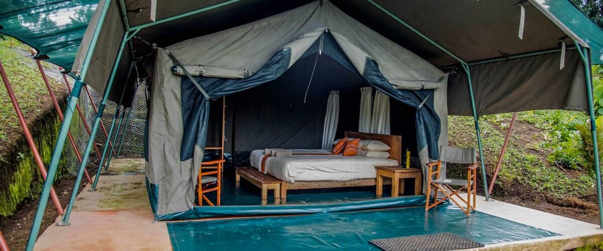Tented Camp vs Fixed Lodge in Uganda