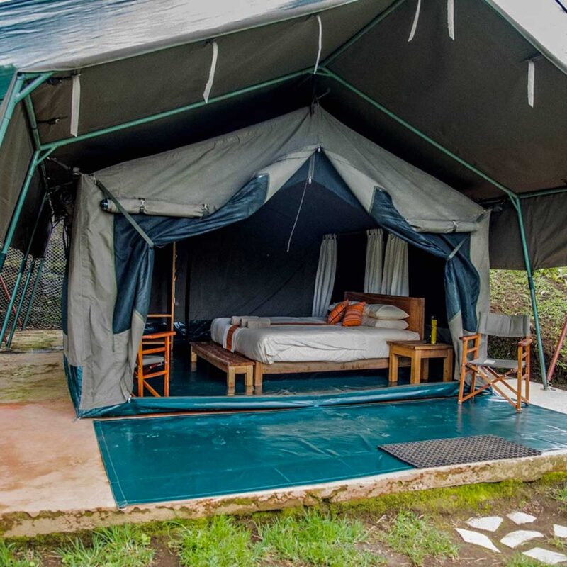 Tented Camp vs Fixed Lodge in Uganda Tented Camp vs Fixed Lodge in Uganda
