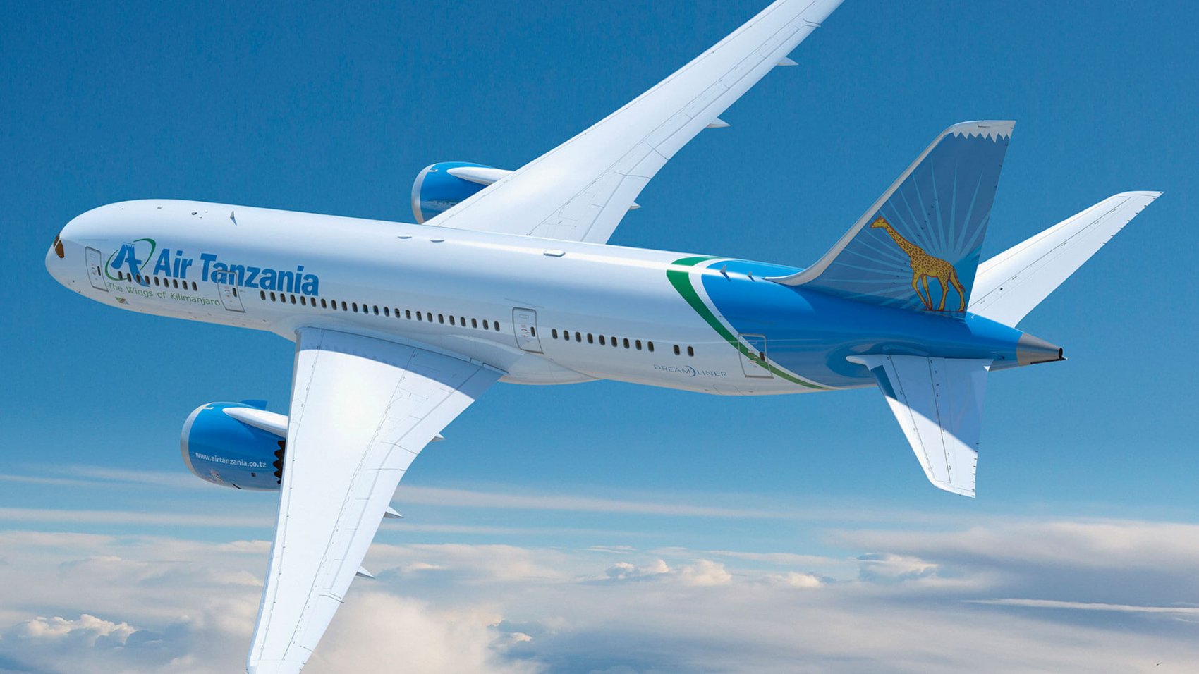 Internal Flights in Tanzania