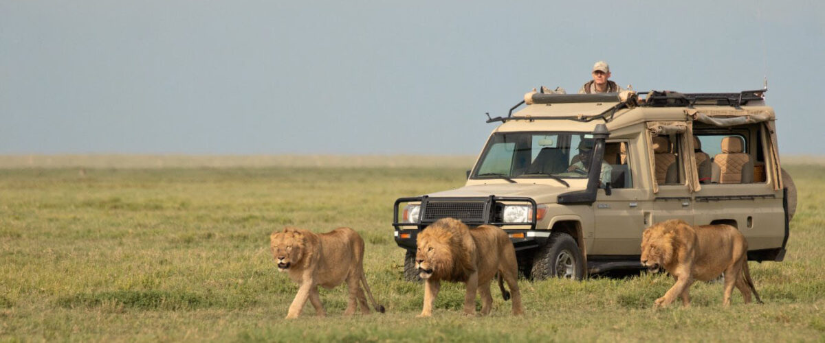 Best Time to Visit Kenya for a Safari