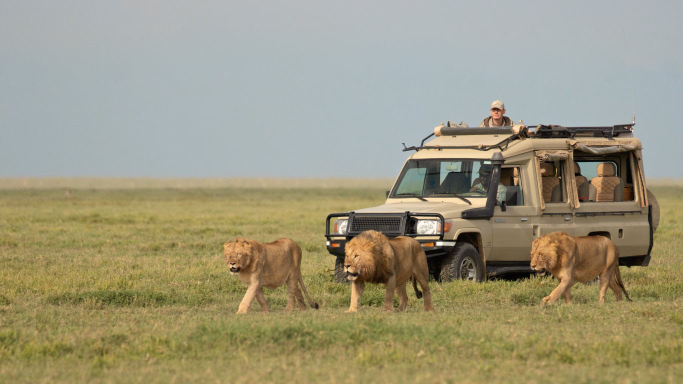 Best Time to Visit Kenya for a Safari