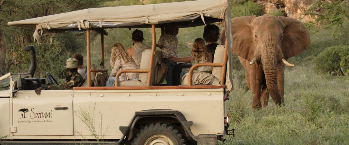 Kenya Safari Costs Explained