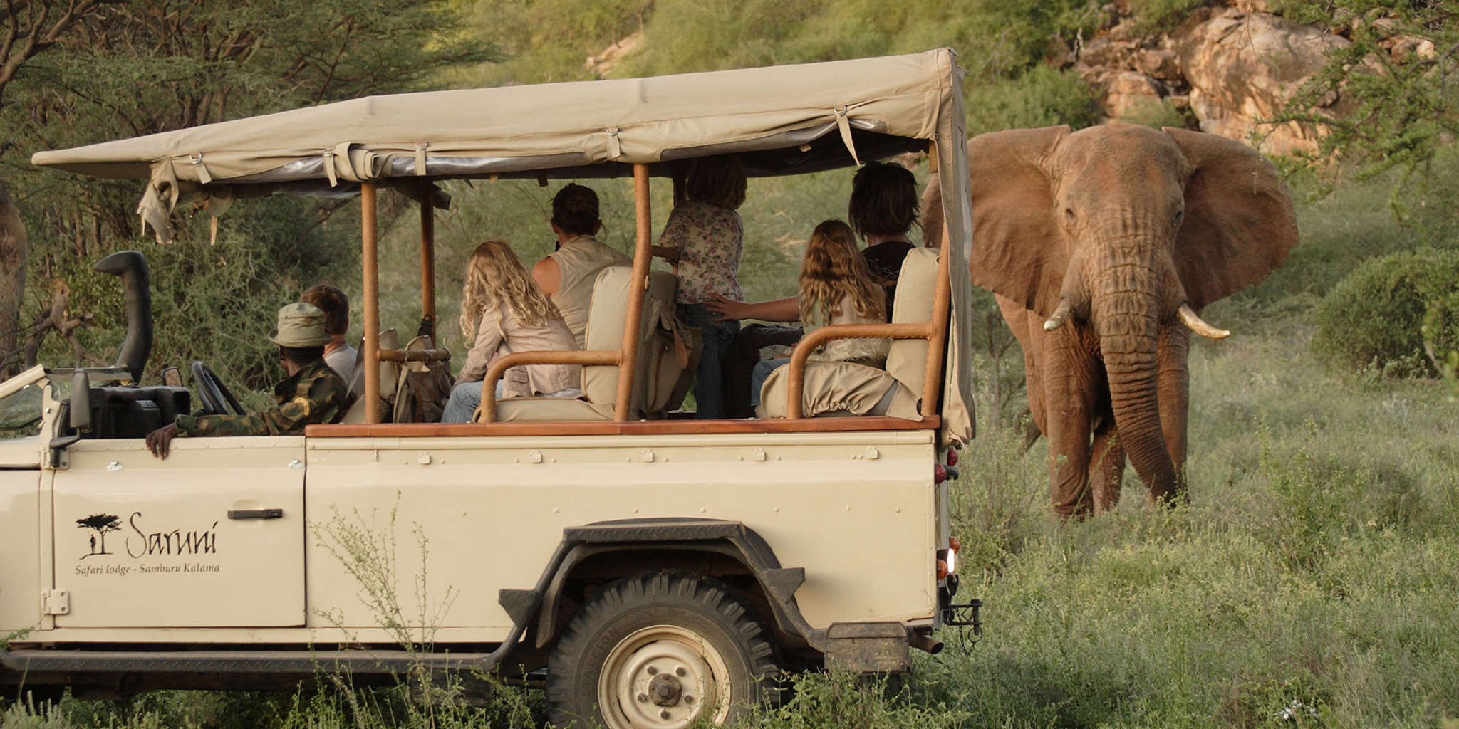 Kenya Safari Costs Explained