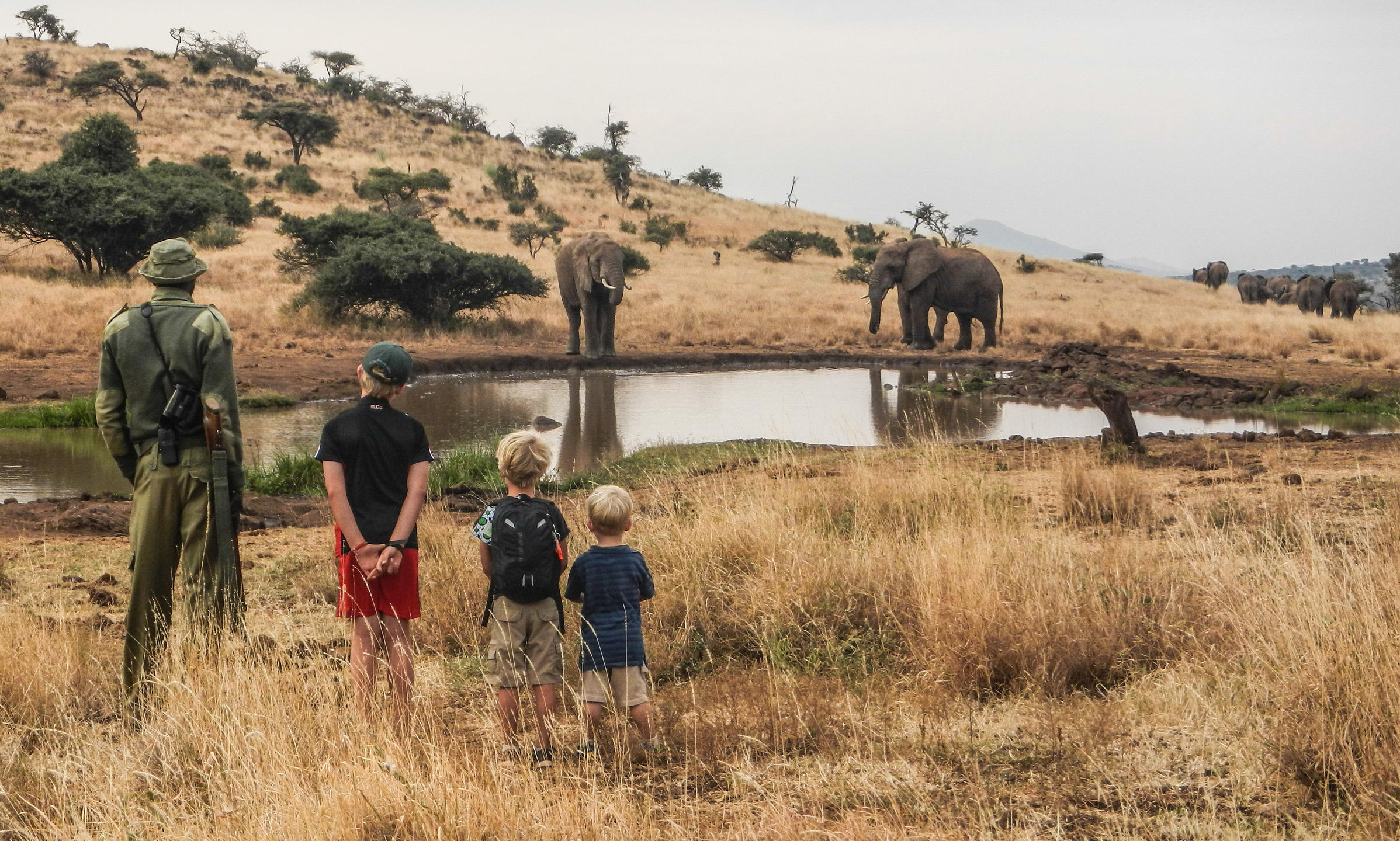 Kenya Safari in 10 Days