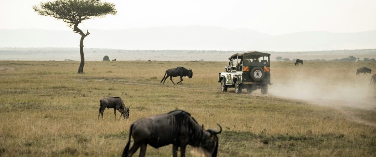 How Tourism Funds Tanzania’s Conservation