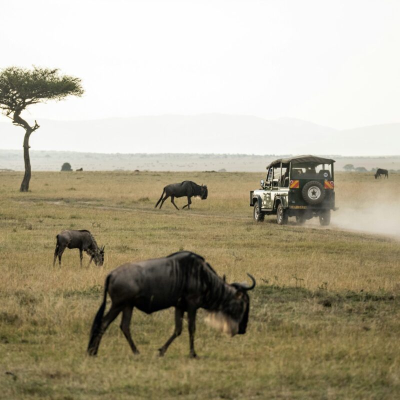 How Tourism Funds Tanzania’s Conservation