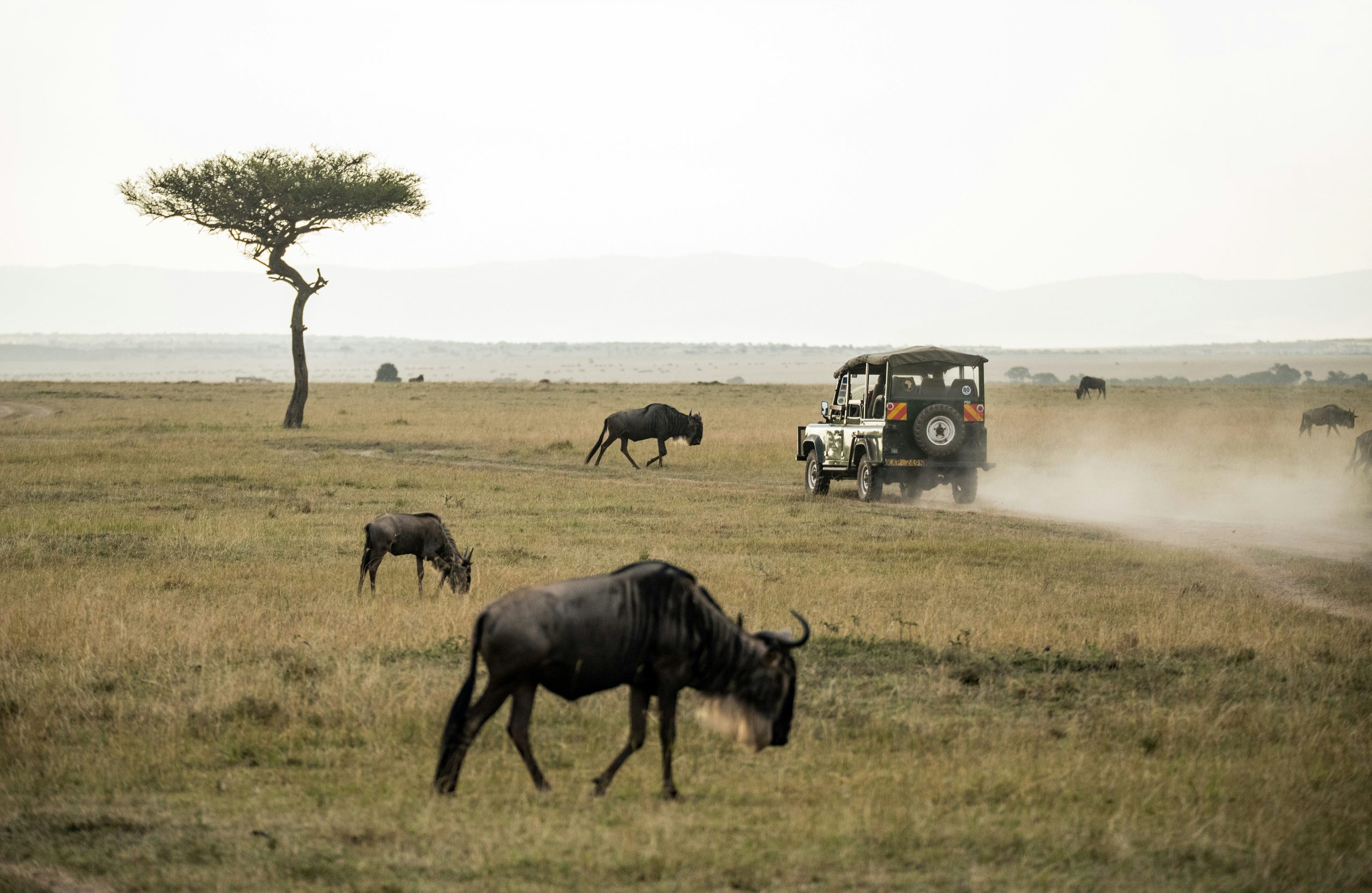 How Tourism Funds Tanzania’s Conservation
