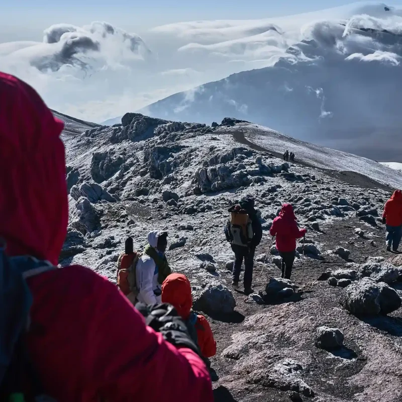 Should Kilimanjaro Be on Your Tanzania Safari Itinerary?
