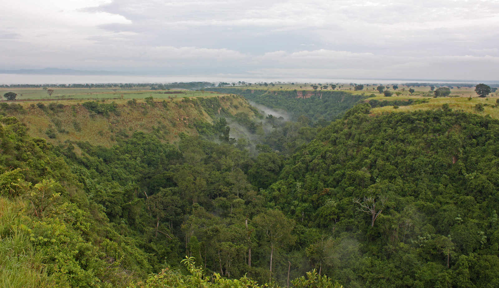 Tracking Chimpanzees in Kyambura Gorge