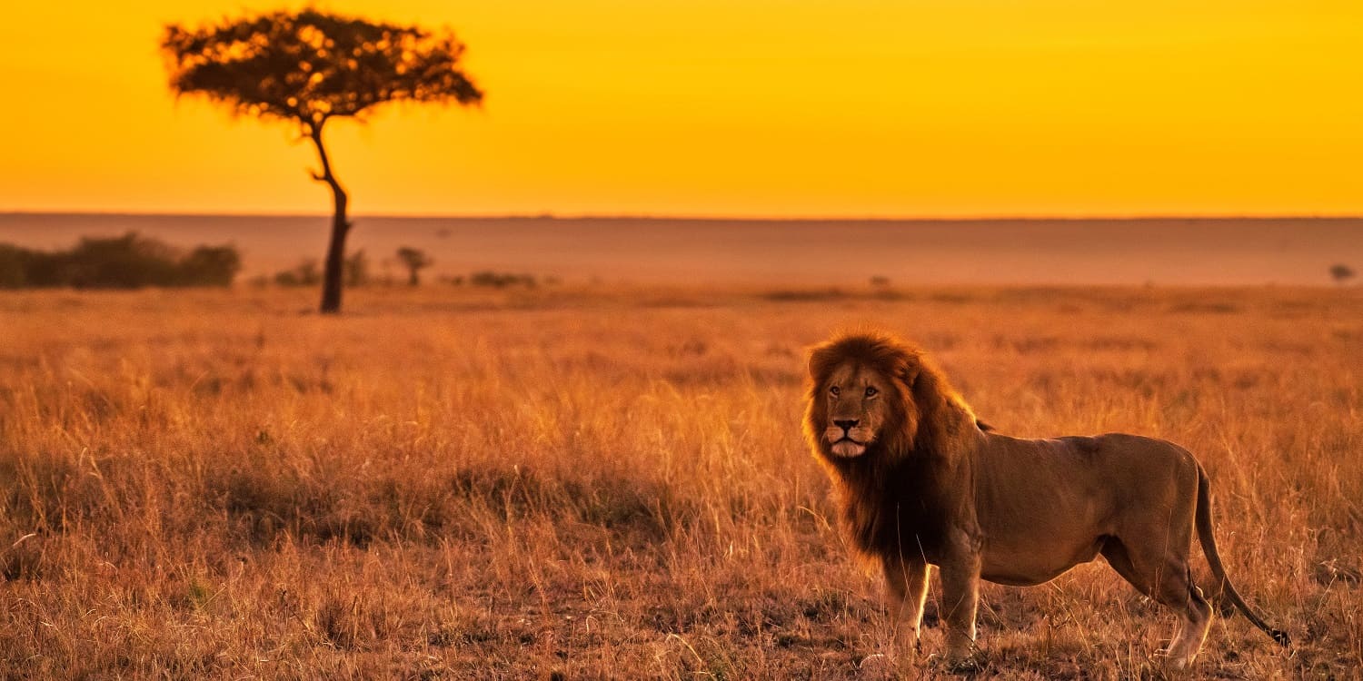 Masai Mara in Low Season