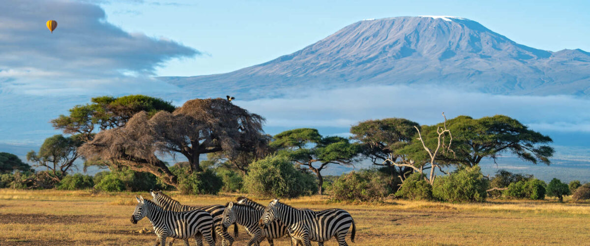 Masai Mara National Reserve vs Mara Conservancies