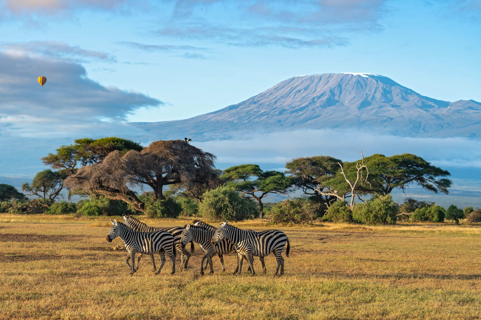 Masai Mara National Reserve vs Mara Conservancies