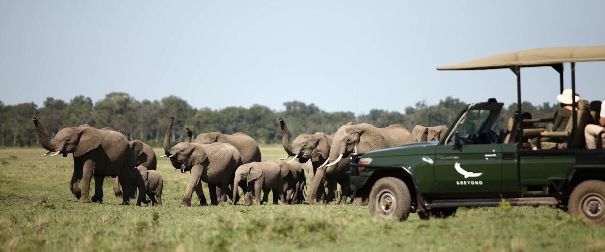 Singita Mara River Tented Camp vs and Beyond Bateleur