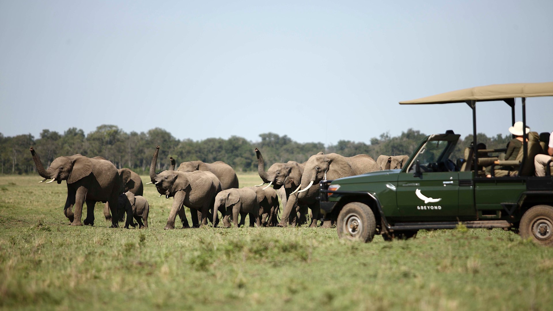 Singita Mara River Tented Camp vs and Beyond Bateleur