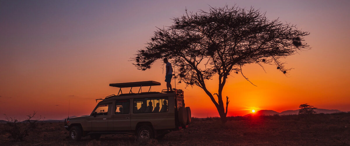Night Game Drives in Uganda