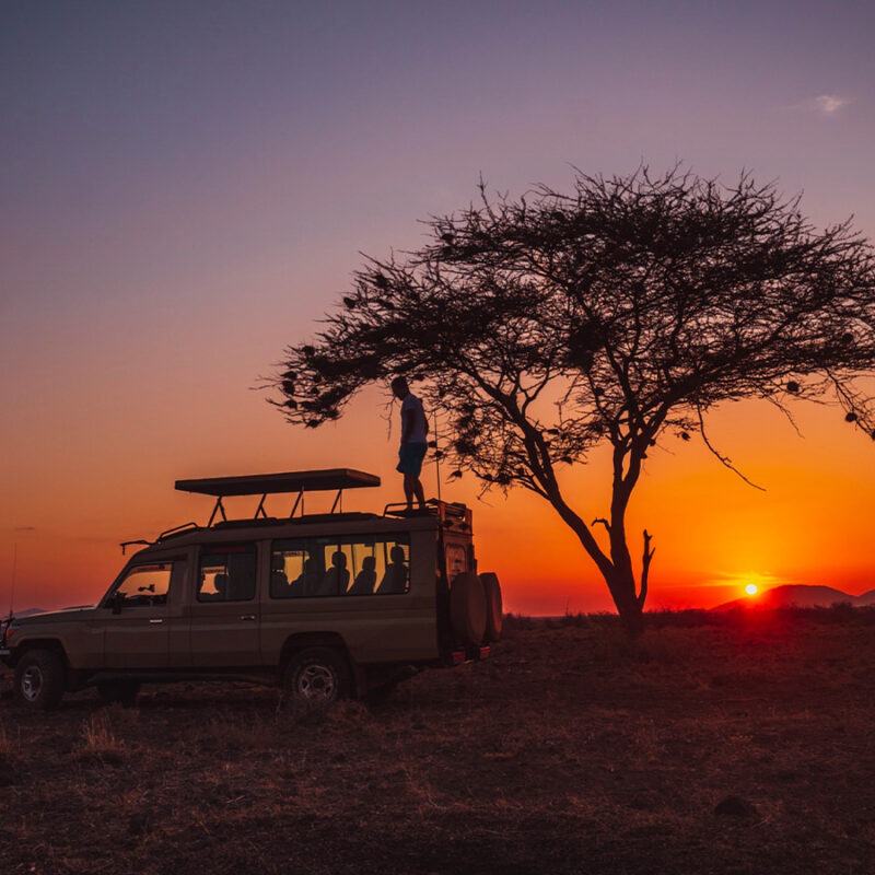 Night Game Drives in Uganda Night Game Drives in Uganda