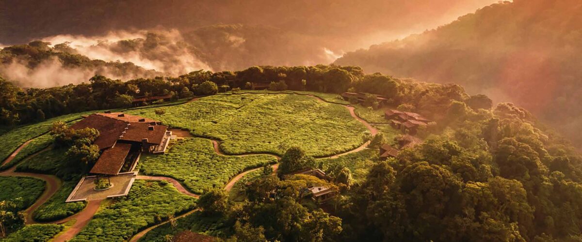 Nyungwe House Review