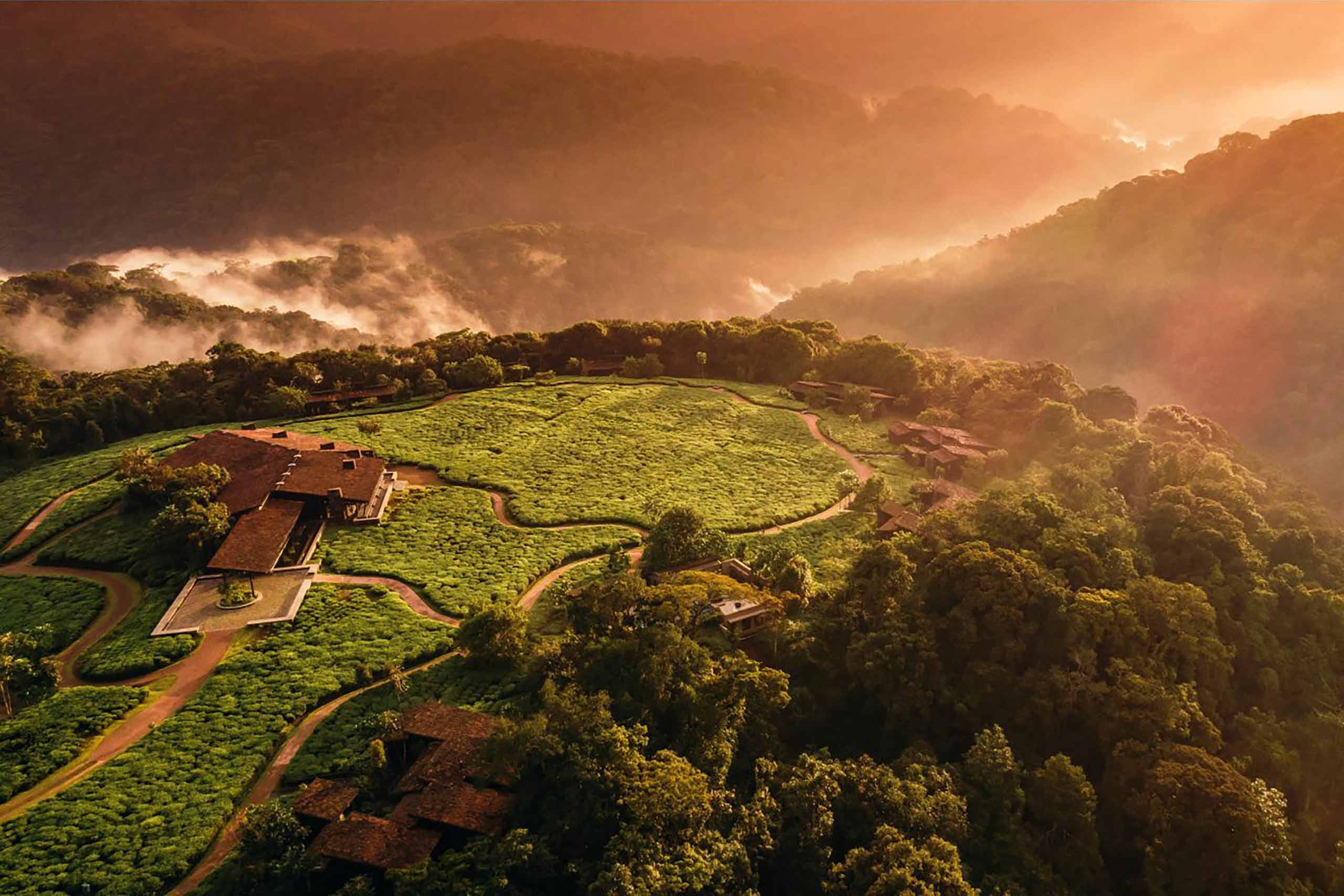 Nyungwe House Review