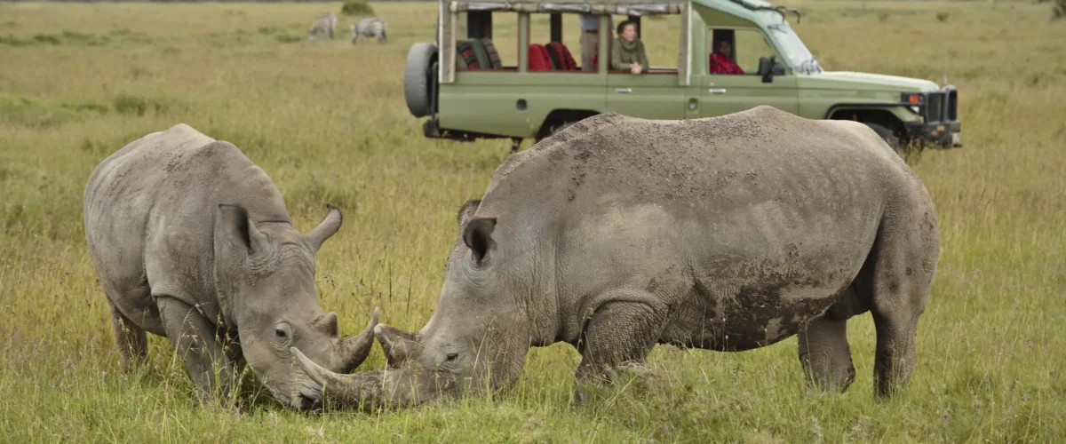 Ol Pejeta Conservancy