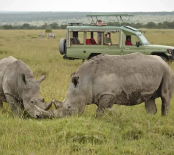 Ol Pejeta Conservancy