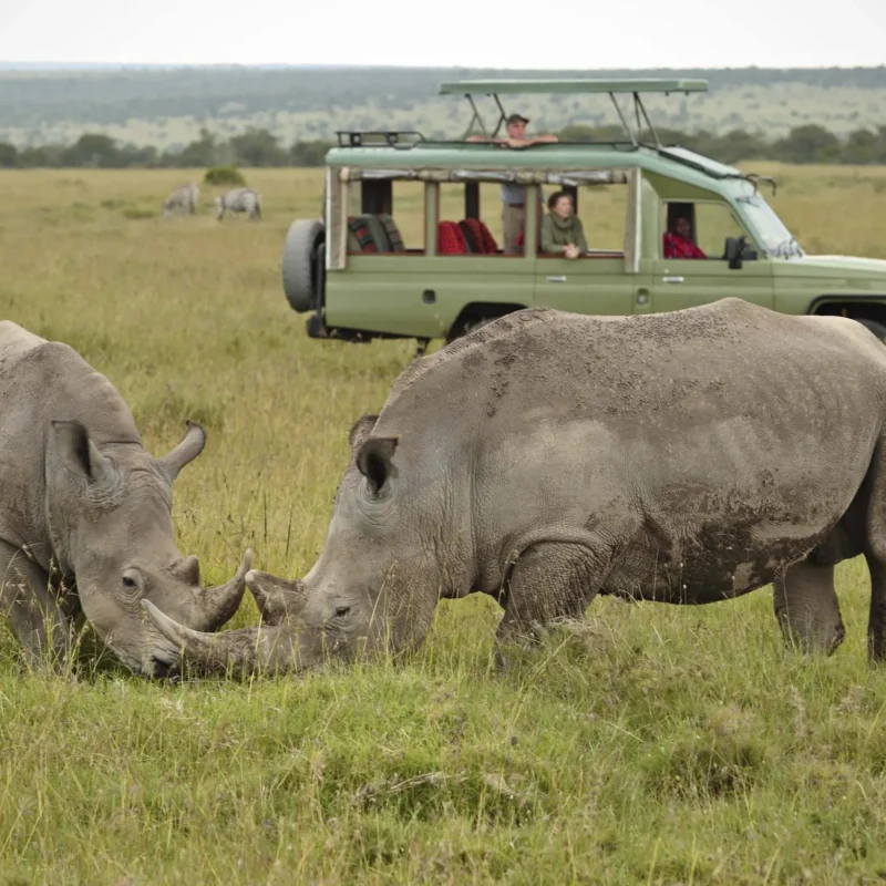 Ol Pejeta Conservancy3 Ol Pejeta Conservancy