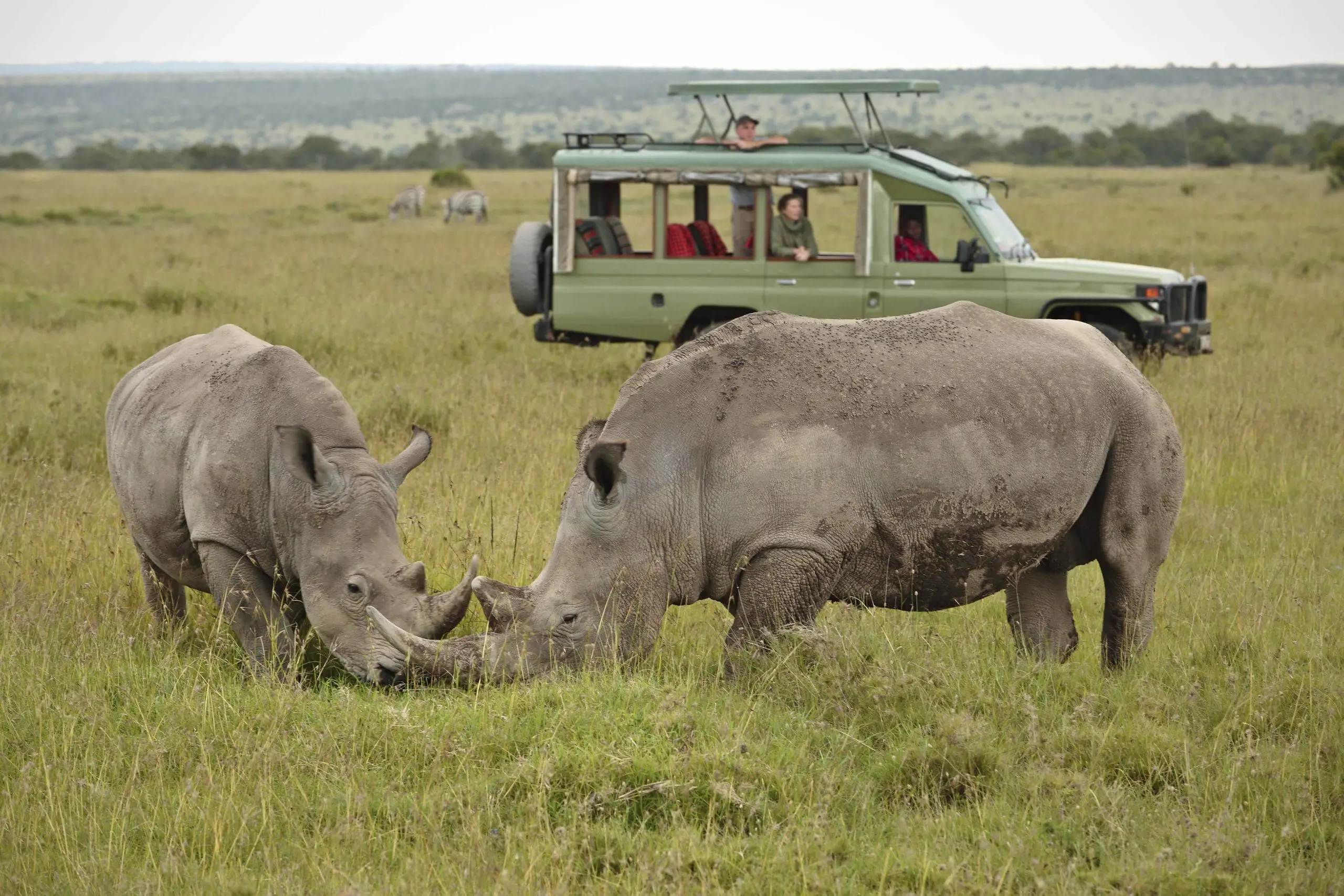 Ol Pejeta Conservancy