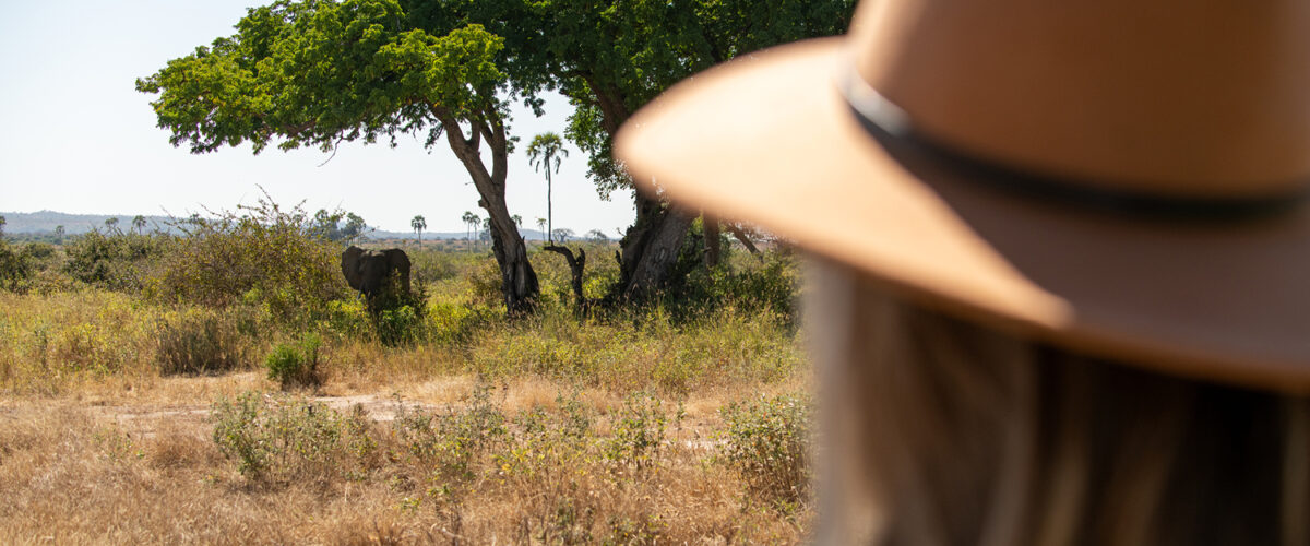 What's Included in a Kenya Luxury Safari Package?