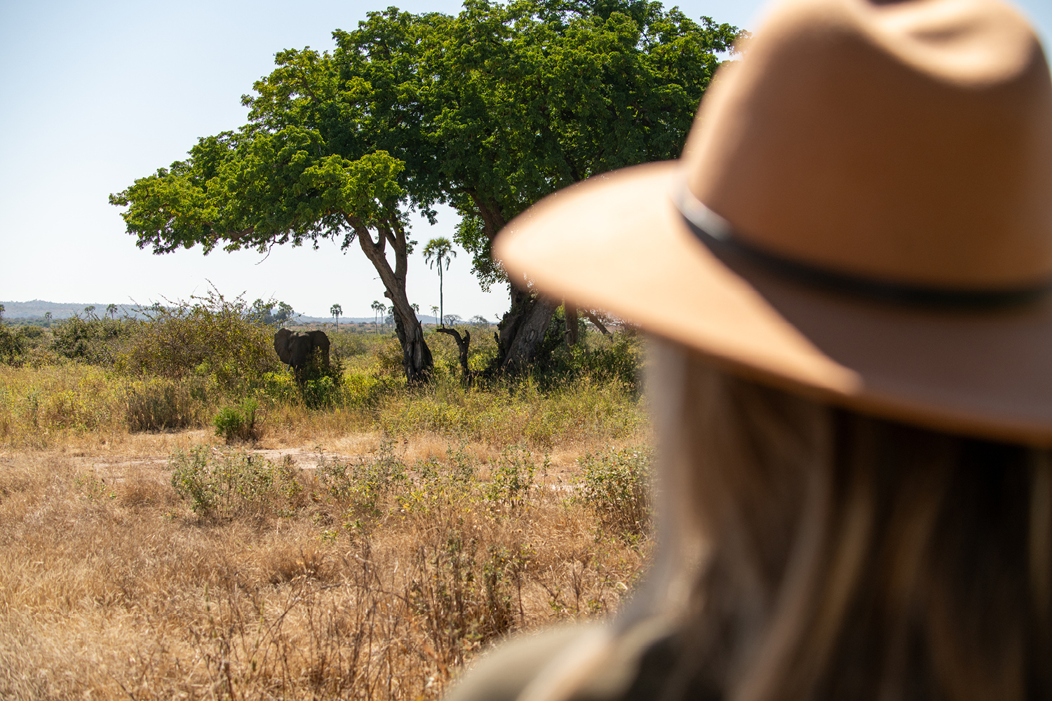 What's Included in a Kenya Luxury Safari Package?