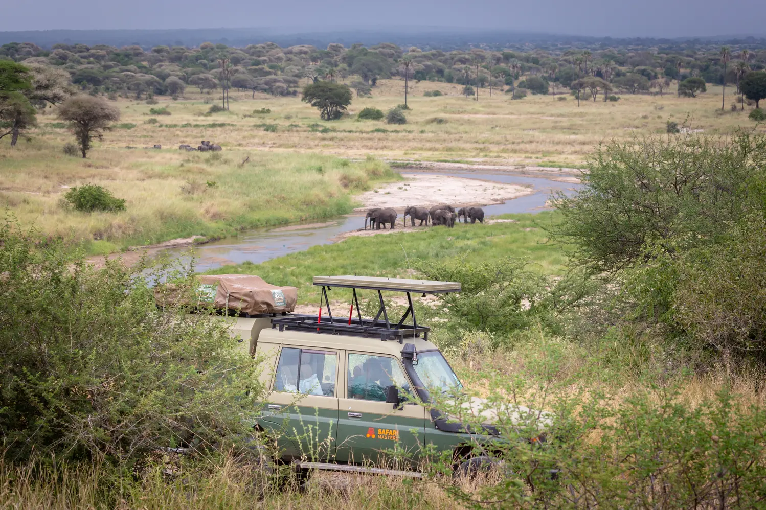 Malaria in Tanzania