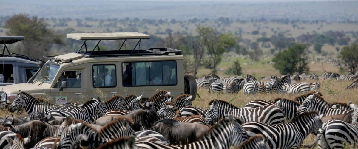 How Much Does a Luxury Tanzania Safari Cost?