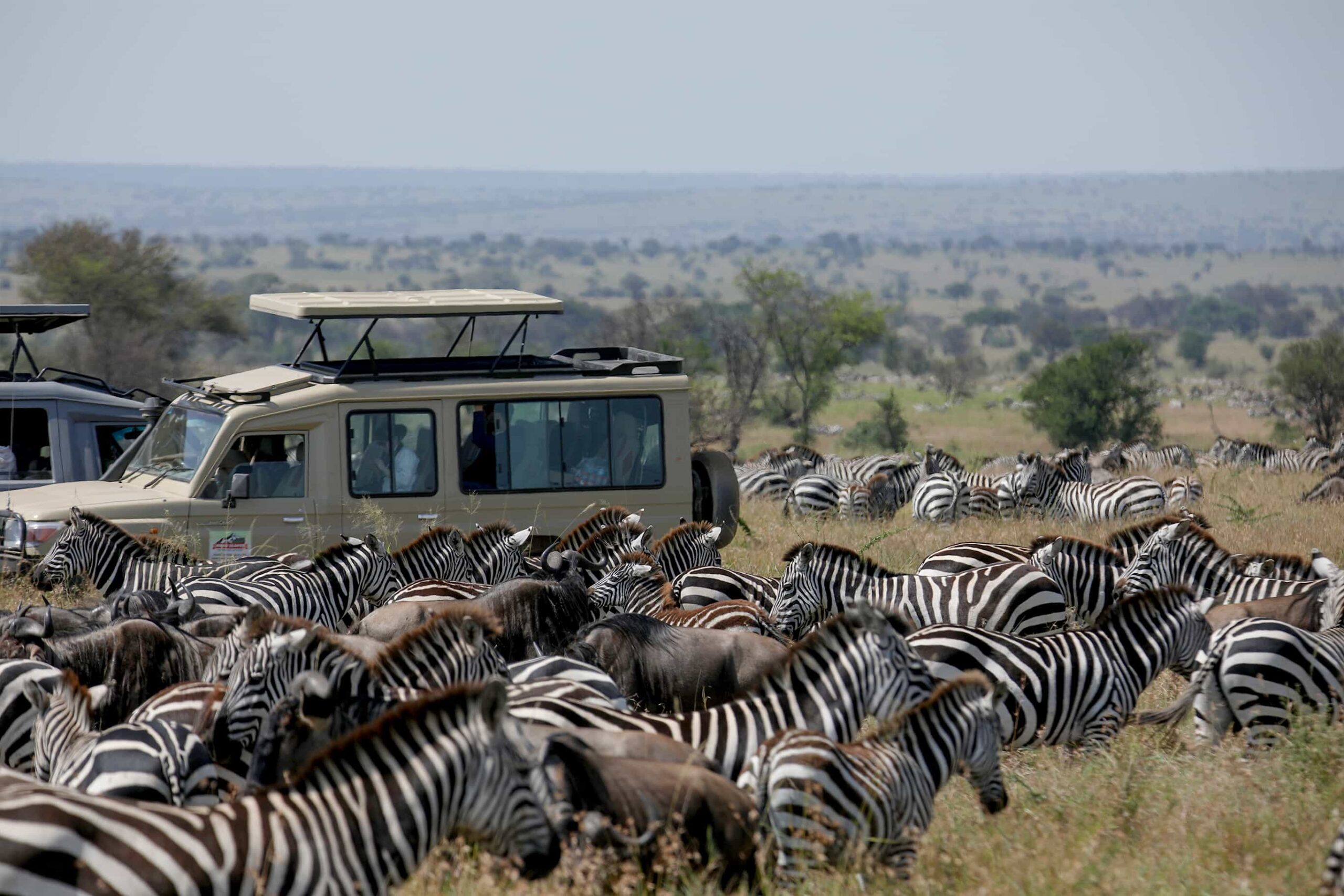 How Much Does a Luxury Tanzania Safari Cost?