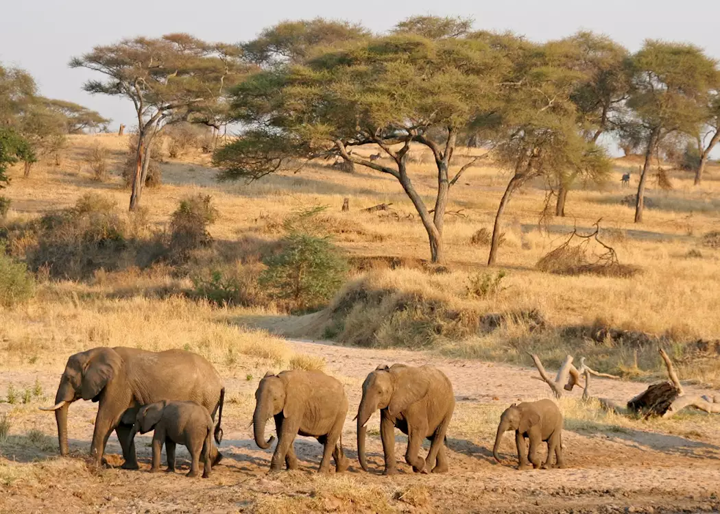 Kenya’s Two Dry Seasons Explained