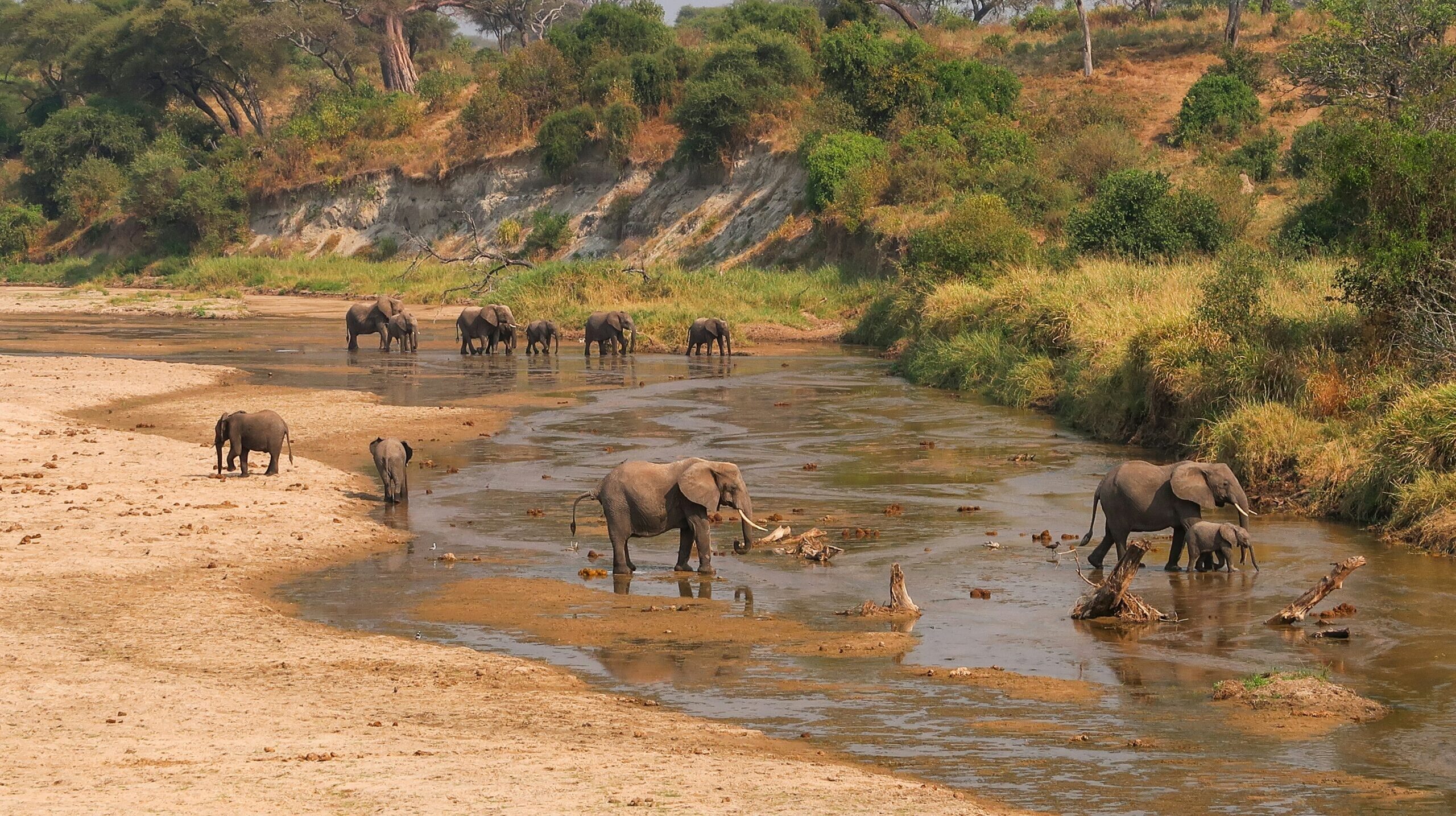 Tarangire np