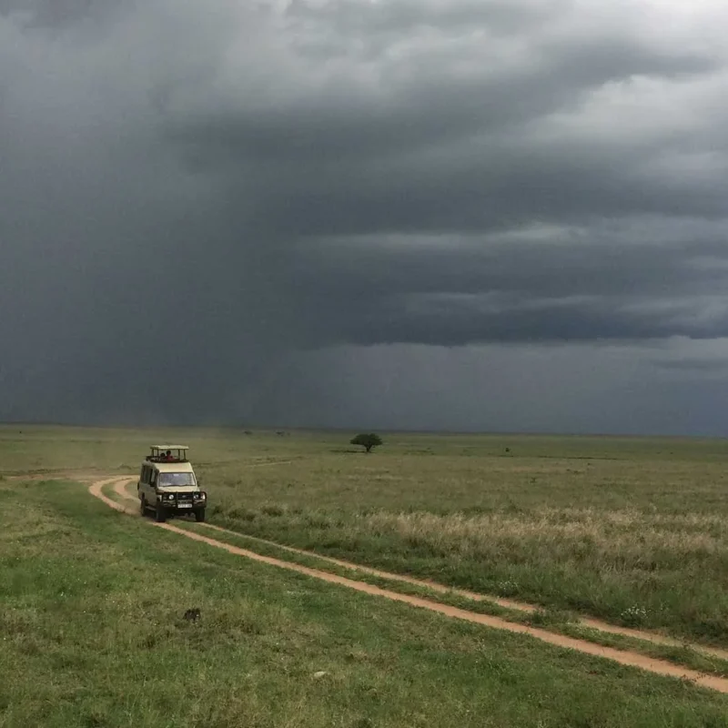 Is It Worth Visiting Uganda in the Rainy Season? Is It Worth Visiting Uganda in the Rainy Season?