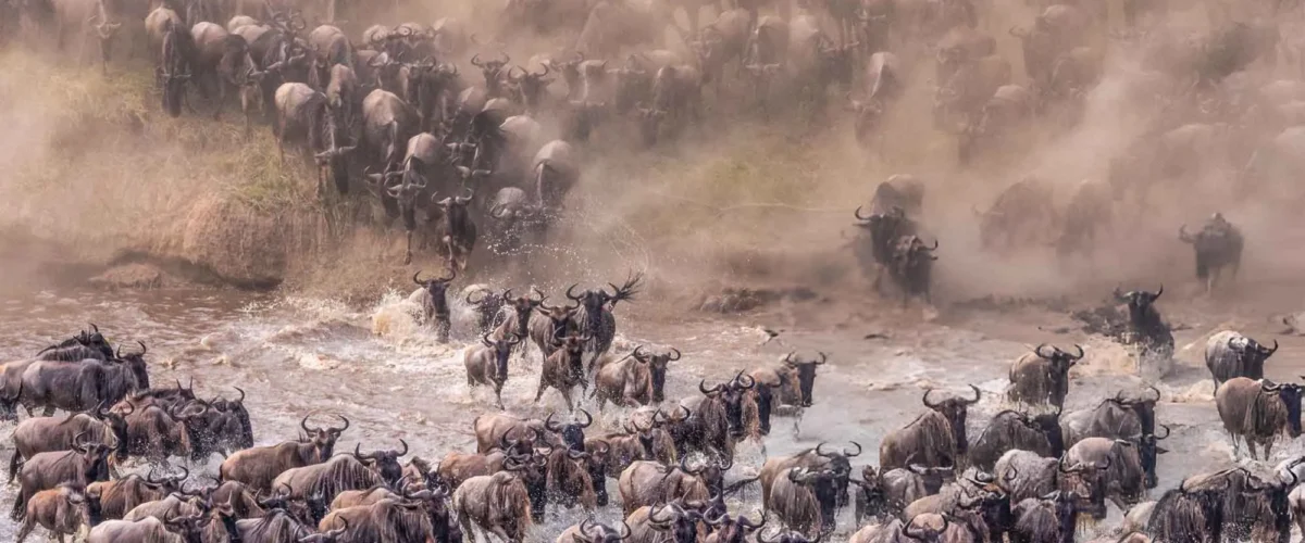 How to Plan a Tanzania Safari Without Seeing Another Tourist